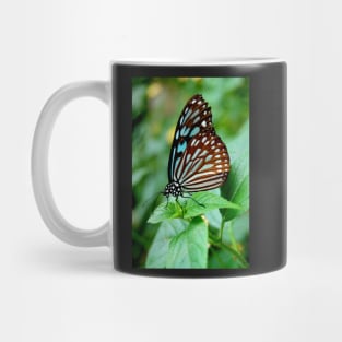 Black and Blue Butterfly Mug